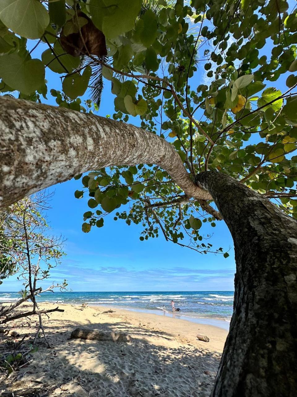 Caribbean Flow Puerto Viejo de Talamanca Dış mekan fotoğraf